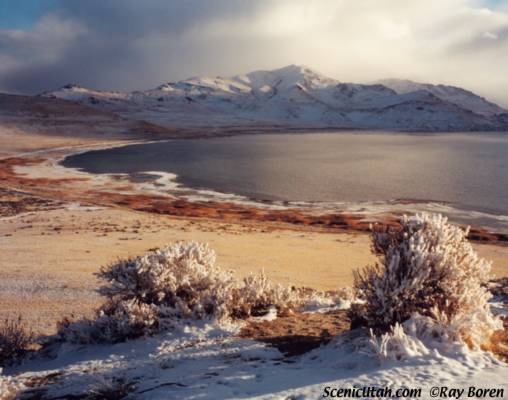 The Great Salt Lake - Antelope Island