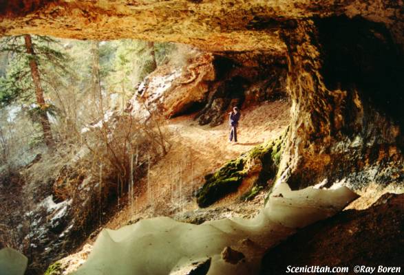 Mossy Cave