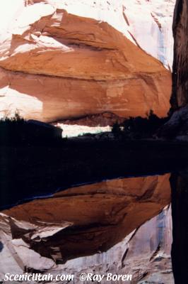 Reflective Pool at Horseshoe Canyon