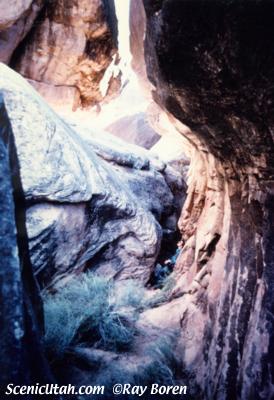 The Joint Trail / Needles District