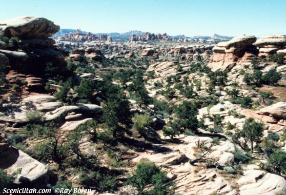 Needles District