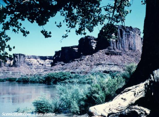 Mineral Bottoms (Below Deadhorse Point)