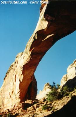 Capitol Reef - Hickman Arch