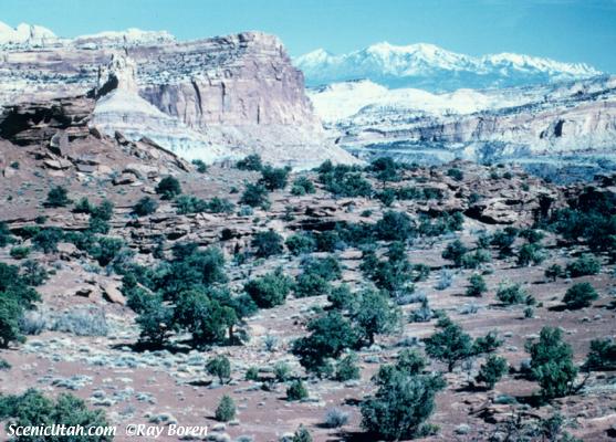 The Henery Mountains