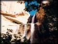 Waterfall - Calf Creek Falls Trail near Escalante