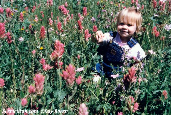 Little Girl in Albion Basin