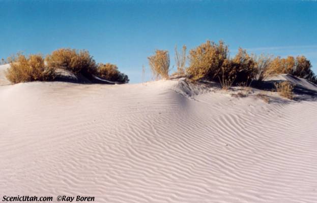 Great Salt Lake Desert - Sand Dune