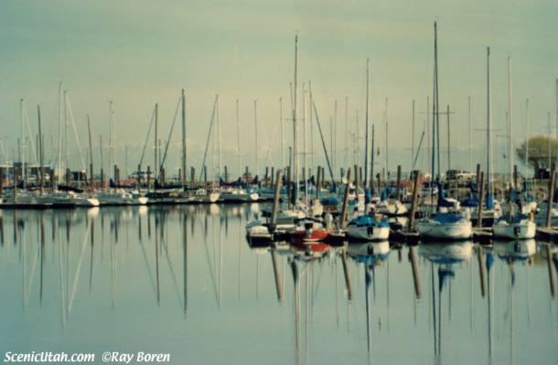 South Shore Harbor Sailboats