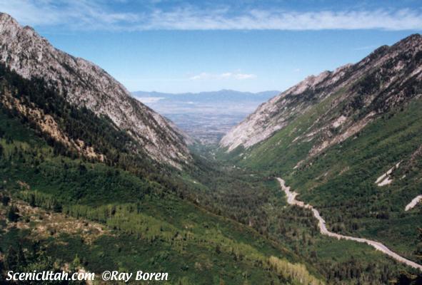 Red Pine Trail