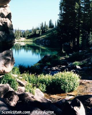 Lower Red Pine Lake