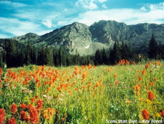 Devil's Castle - Albion Basin