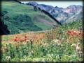 Albion Basin