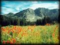 Devil's Castle - Albion Basin