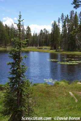 Reflection of Bald Mountain in Mirror Lake