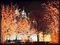 Christmas Lights at Temple Square