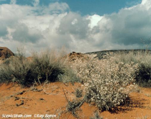 Snow Canyon