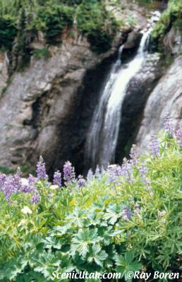 Mt. Timpanogos - Lavendar wildflowers and waterfall